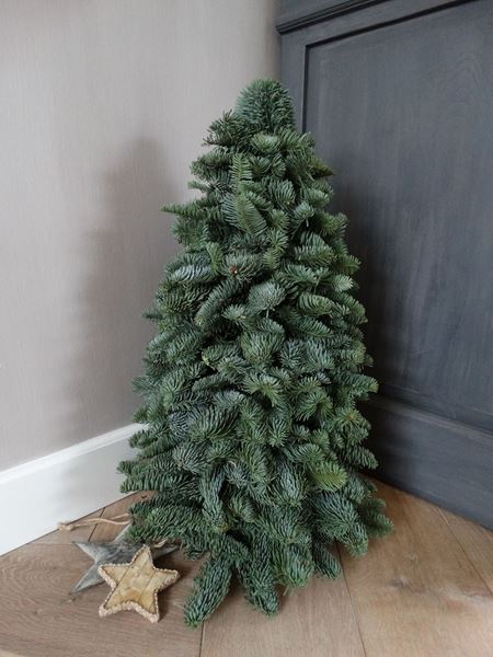 Afbeelding van Nobilis kerstboompje 60 cm