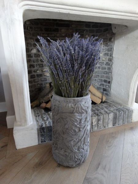 Picture of Gedroogde bos lavendel