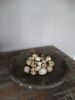 Picture of Kwarteleitjes als decoratie