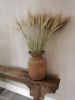 Picture of Tarwe gras pluimen decoratie
