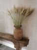 Picture of Tarwe gras pluimen decoratie
