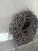 Picture of Wortel krans bruin ww 40 cm