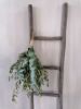 Picture of Stoer & Stijlvol olijftoef decoratie groen