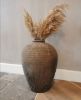 Picture of Pampas pluimen naturel