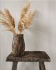 Picture of Pampas pluimen naturel