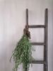 Picture of Stoere oud houten klos nr 1