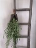 Picture of Stoere oud houten klos nr 2