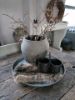 Picture of Metalen serveer tray twee cups