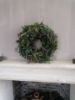 Picture of Nobilis bonsai jeneverbes krans 40 cm