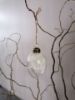 Picture of Hangende glazen eieren met droogbloemen