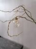 Picture of Hangende glazen eieren met droogbloemen