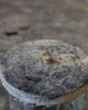 Picture of Glazen potje met deksel Grey finish L