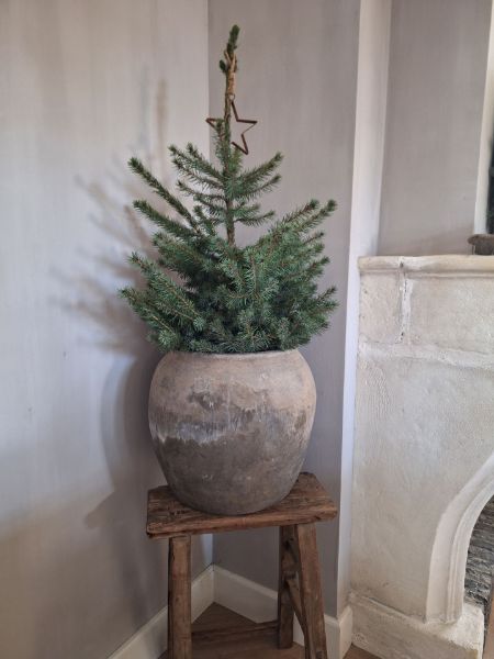 Picture of Oude unieke Chinese pot nr. 4