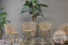 Picture of Stoel Rattan | India