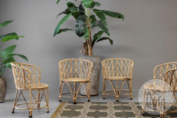 Picture of Stoel Rattan | India