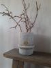 Picture of Landelijke pot Brynxz | Limestone | L