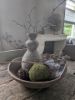 Picture of Decoratie mos bal 15 cm