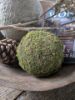 Picture of Decoratie mos bal 15 cm