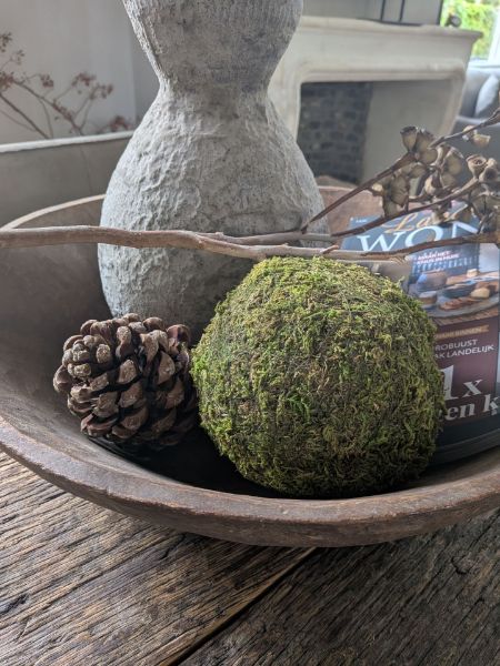 Picture of Grote dennenappels 12 cm