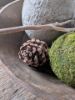 Picture of Grote dennenappels 12 cm