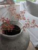 Picture of Rozenbotteltak 110 cm