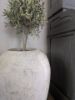 Picture of Grote oude rijst pot India nr.18