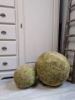 Picture of Mosbol L 30 cm doorsnede