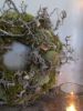 Picture of Bonsai krans met mosbollen 45 cm